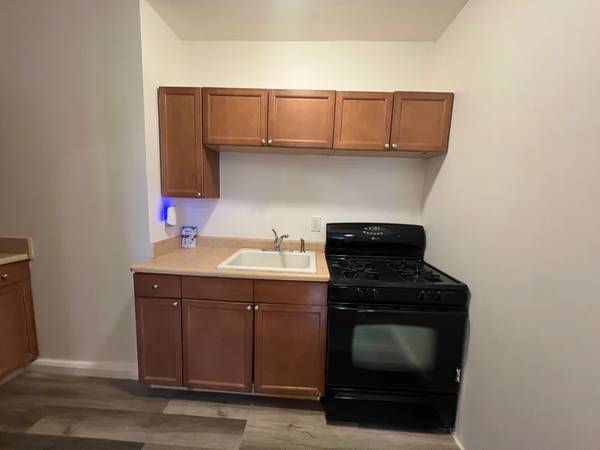 Sparkling clean kitchen after deep cleaning