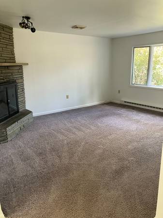 Living room with freshly vacuumed carpet and fireplace